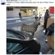 Illustration for article titled That Loose Zebra In New York Is Fake Because Everything On The Internet Is Fake
